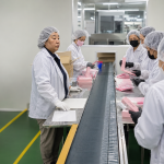 Quality control inspector checking products in a South Korean factory before shipment