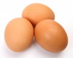 Egg & Egg Products