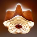 Ceiling Lights&nbsp;