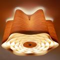 Ceiling Lights&nbsp;