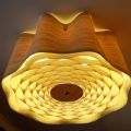 Ceiling Lights&nbsp;
