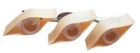 Ceiling Lights&nbsp;