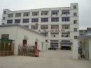 Shenzhen Raysflt Technology Co., Ltd.