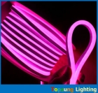 LED Neon Lights