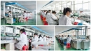 Taizhou Jiaoguang Lighting Co., Ltd.