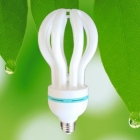 Lotus energy saving lamp