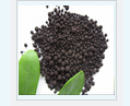 Magic Leon Fertilizer Humic and Fulvic Acid Based Organic Granule Fertilizer