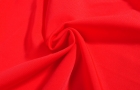 Lingerie Fabric