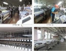 Dongguan Long Young Textile Co., Ltd.