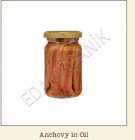 Anchovy in Oil