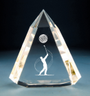 Trophy&nbsp;