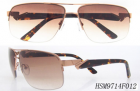 High Level Metal Sunglasses&mdash; HSM9714F012-C2