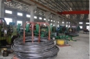 Hebei Maodong Trade Co., Ltd.