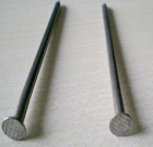 Common Wire Nail