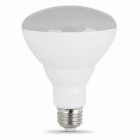 LED Flood Bulb