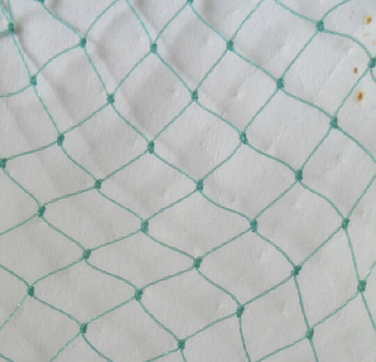 Polythene fishing net