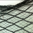 Diamond fish net