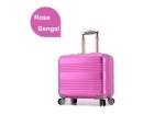 Rose Bengal Aluminum Luggage