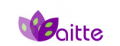 Shenzhen Baitte Technology Co., Ltd.