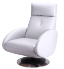 Arm Chair (A-751-5666-15)
