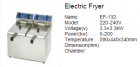 Electric Fryer