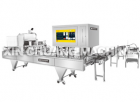 Auto Filling and Sealing Machine