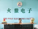 Shenzhen Fire-Wolf Electronics Co., Ltd.