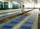 Fuzhou Xiangxing Textile Co., Ltd.