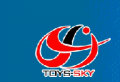 Shenzhen Toysky Trading Firm