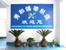 Shengzhou Xiuhe Necktie & Weaving Co., Ltd.