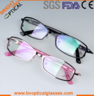 Spectacle Frames&nbsp;