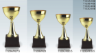 Trophy&nbsp;