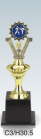 Trophy&nbsp;