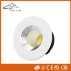 Spotlights&nbsp;