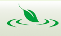 Jiangxi Global Natural Spice Co., Ltd.