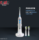 Acoustic electric toothbrush