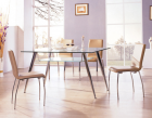 Glass dining table chairs-(YL-801  YL-642)