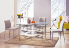 Glass dining table chairs-(YL-808 YL-641)