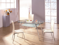 Glass dining table chairs-(YL-807 YL-666)