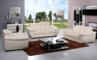 Leisure sofa(G-3826)