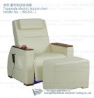 Salon Leisure Chair (09G01C-1)