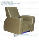 Salon Leisure Chair— 09G02-1