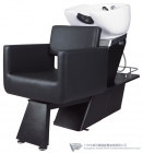 Shampoo Chair&mdash; C29