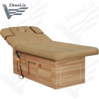 Electric Massage Bed (d14916)