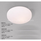 Ceiling Lights&nbsp;