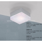 Ceiling Lights&nbsp;