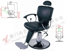 Barber Chair (SY-31211AP HG1)