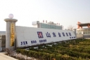Shandong Jinnuo Group Co., Ltd.