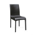 Dining Chair (FX-9818)