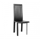 Dining Chair (FX-9820)